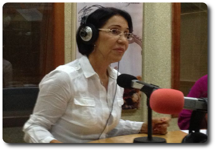 La presidenta de la Asociación Venezolana de Juristas, Gisela Jiménez Aranguren.