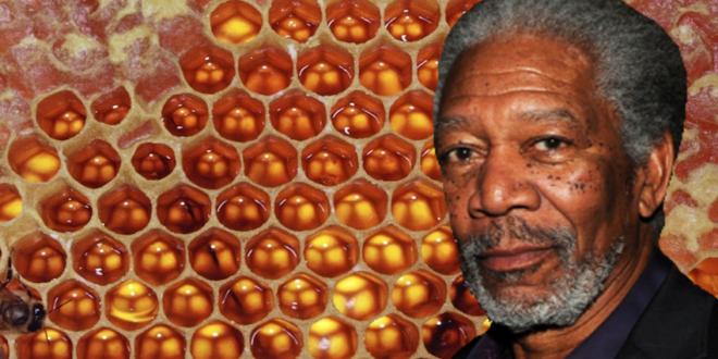 Morgan Freeman creo un santuario de abejas en su rancho