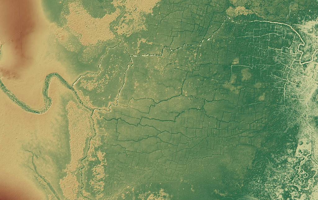 Red de canales y campos de cultivos encontradas en lo que fueron tierras mayas