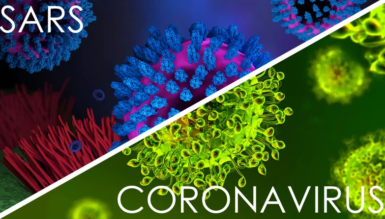 Imagen microscópica de coronavirus o Covid-19