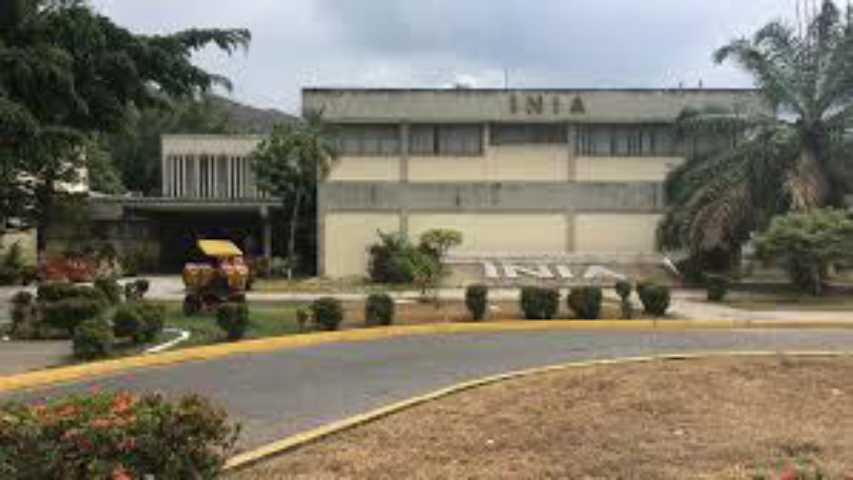 Instituto Nacional de Investigaciones Agrícolas en Maracay
