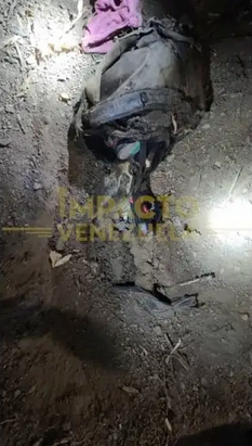 Su perro encontró sus restos