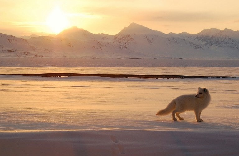 El archipiélago Svalbard