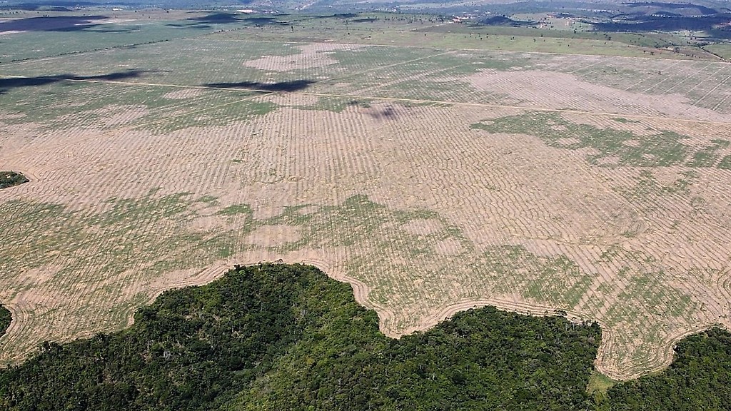 Deforestación en la selva Amazónica