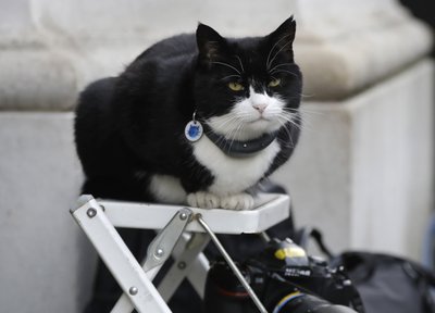 Palmerston, el ratonero jefe de la Foreign Office, el servicio diplomático británico