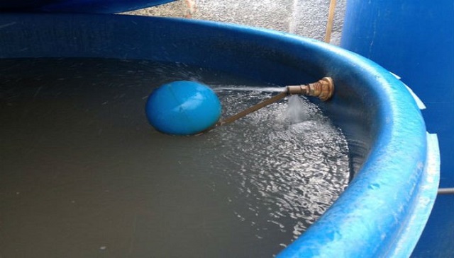 Agua oscura, en un tanque de un hogar de Maracaibo