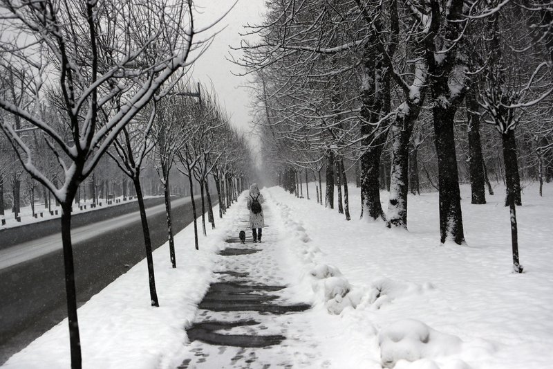 Tormenta invernal en Belgrado 17/1/2021