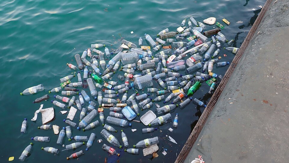 El plástico daña directamente el medio ambiente, la vida marina y la vida silvestre