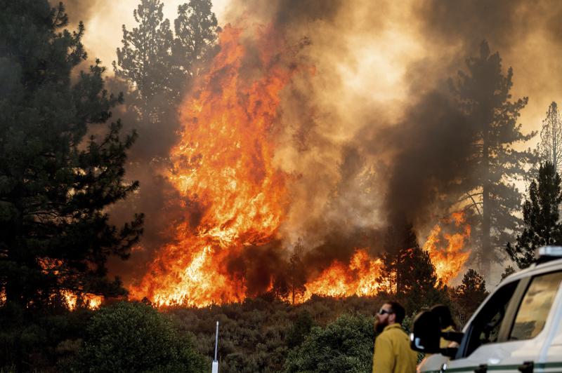 El incendio forestal en Plumas National Forest, California el 9 de julio de 2021