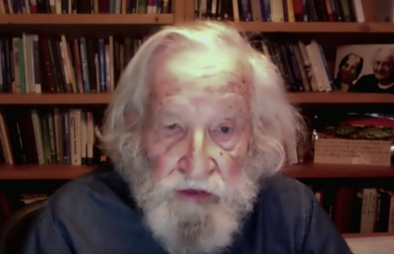 Chomsky durante una entrevista reciente por videoconferencia