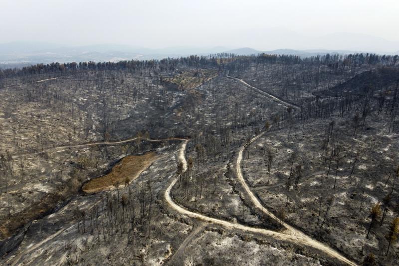 Vista de un monte quemado en la localidad de Agia Anna, en la isla de Evia, a unos 181 kms al norte de Atenas, Grecia