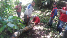 Restablecimiento de área inclinada (talud) del sector Rincón de Lourdes Alto Quebrada La Fría II