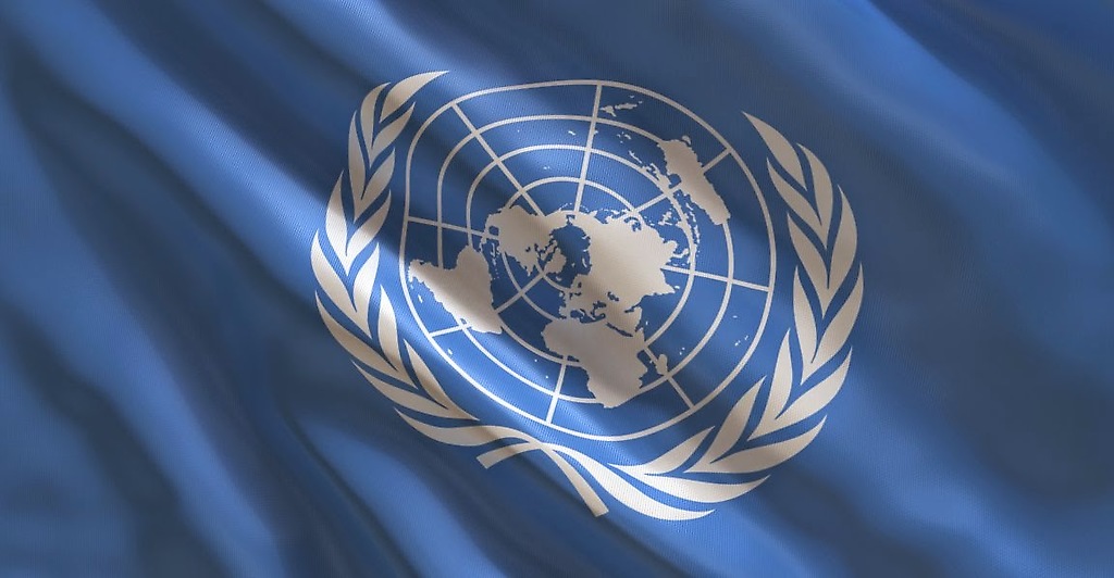 Organizacion de las Naciones Unidas (ONU)
