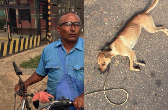 Este pobre animal era arrastrado atado a una moto