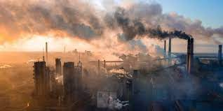 Industrias contribuyen al colapso ecológico