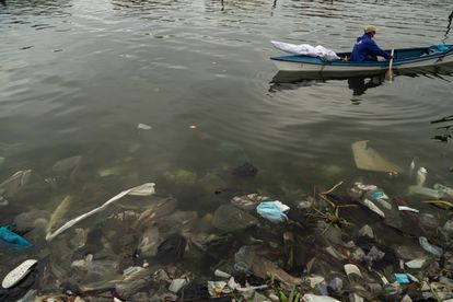 Dondequiera que los pescadores lancen sus redes, en vez de peces encontrarán plástico. Everto apela a la conciencia ciudadana ante las toneladas de desechos que cada día caen en el Lago de Maracaibo, donde las orillas se antojan pantanosas y la vida marina lucha por sobrevivir.