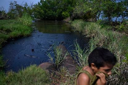 Los derrames de petróleo también son una constante fuente de contaminación de las aguas del Lago de Maracaibo. Diferentes estudios han dado cuenta de la alta concentración de hidrocarburos en estas aguas. En la foto, un niño se tapa la boca mientras pasa junto a un canal cubierto de petróleo que entra y sale del lago de Maracaibo en Cabimas, Venezuela, el 15 de septiembre de 2019.  