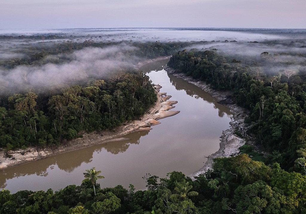 Las poblaciones en los ríos han disminuido en 83% en promedio