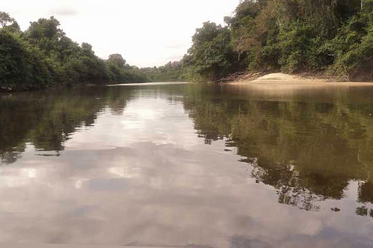 The Caura River Basin in Suapure.
