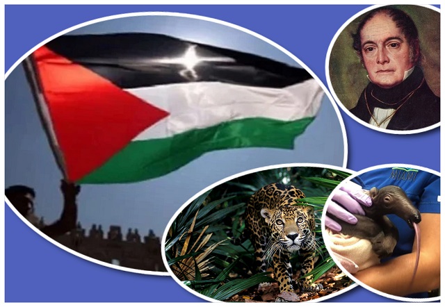 Día del nacimiento de Don Andrés Bello y Día del Escritor. Es el Día Internacional de Solidaridad con Palestina. También es una efeméride dedicada a la conservación de dos especies en peligro: el jaguar y el oso hormiguero.