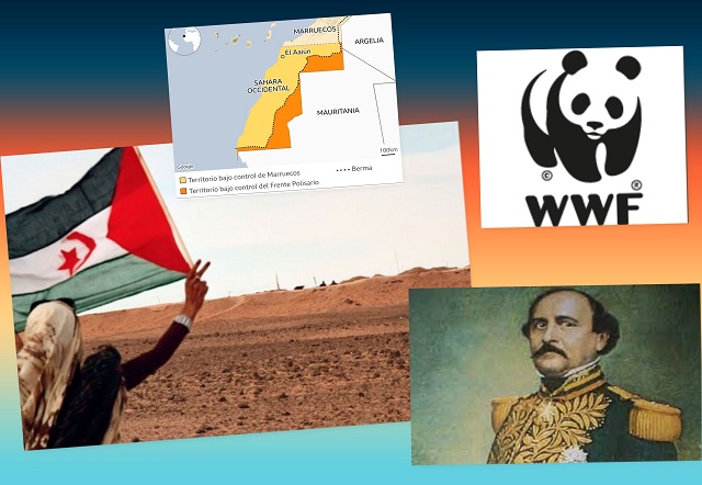 Para estas Efemérides del 29 de Abril (versión 2023) destacamos: la muerte de Falcón en 1870, la creación del Fondo Mundial de la Naturaleza (1962) y la aprobación de la autodeterminación del Sahara Occidental por la ONU en 1991