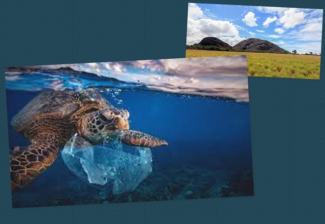 Efemérides 5 de Junio: Por el DíaMundial del Ambiente, en la imagen, tortuga marina enredada con una bolsa de plástico. En la otra foto el monumento natural de la Montaña Piedra de La Tortuga (estado Amazonas, Venezuela).