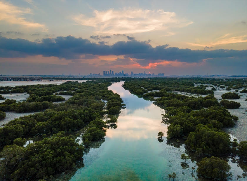 Vista del manglar detrás de la ciudad de Abu Dhabi, capital de los Emiratos Árabes Unidos. Los manglares, a menudo subestimados como lugares sucios e inservibles, son fundamentales para la vida costera y marina, y las agencias de las Naciones Unidas advierten los riesgos de su destrucción