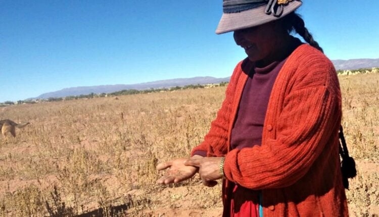 Sequía en Bolivia