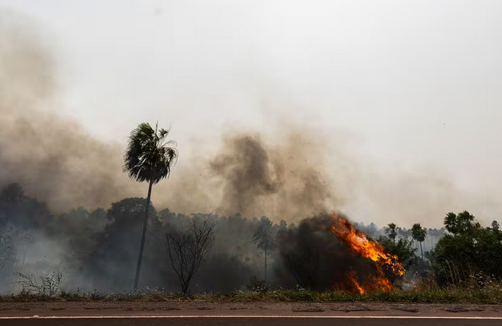 Incendio forestal en el pantanal brasileño