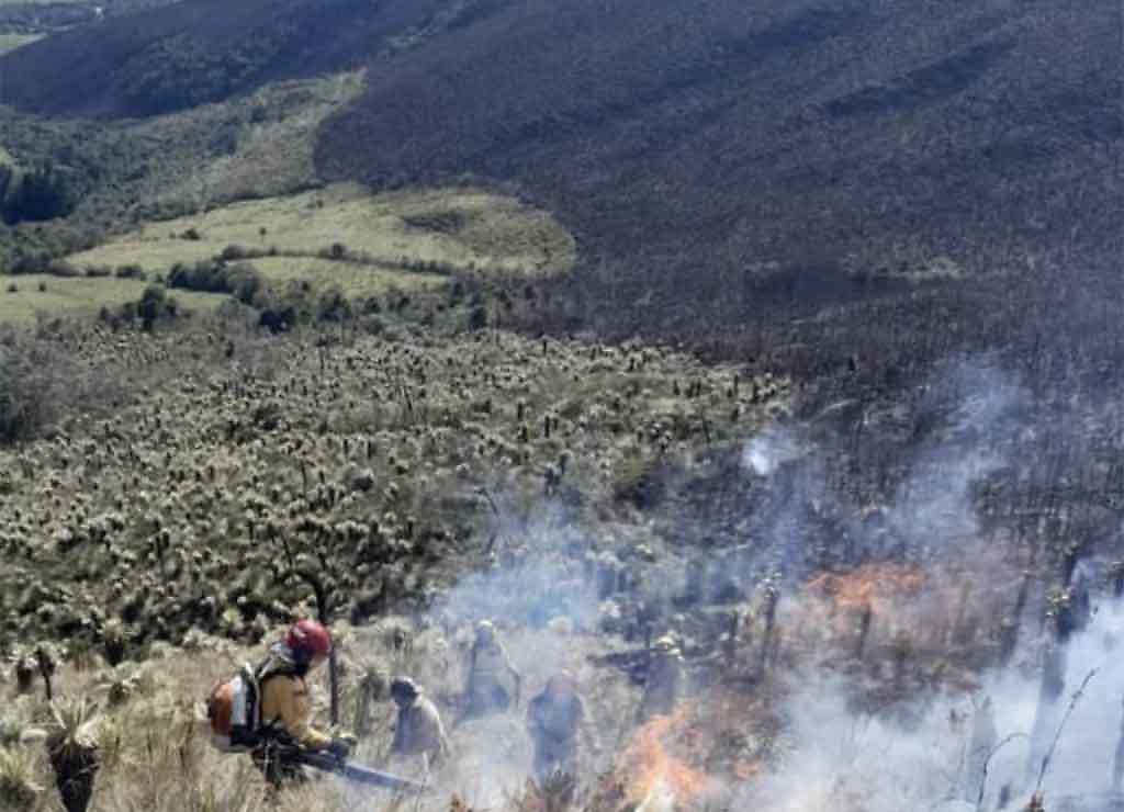 Incendio forestal en Ecuador