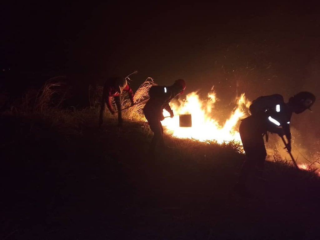 Bomberos atacan incendio en vía a Ocumare de la Costa, Aragua
