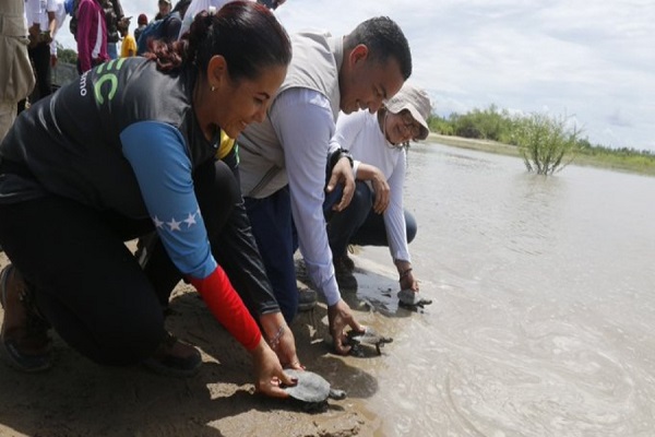 El ministro para Ecososialismo, Josué Lorca, detallóó que fueron liberadas hasta la fecha 984.021 tortugas Arrau y 104.767 tortugas Terecay