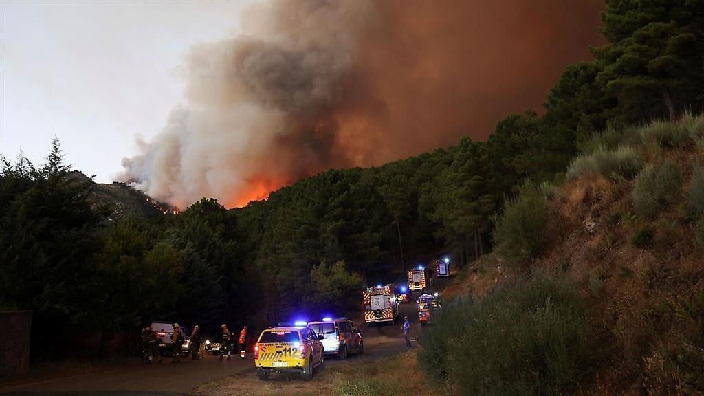 España devastada por incendios y récord de hectáreas arrasadas