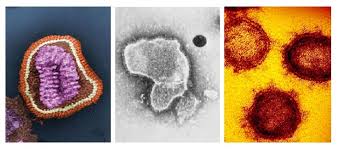Influenza, virus sincitial respiratorio y la covid-19 causan gripes estacionales